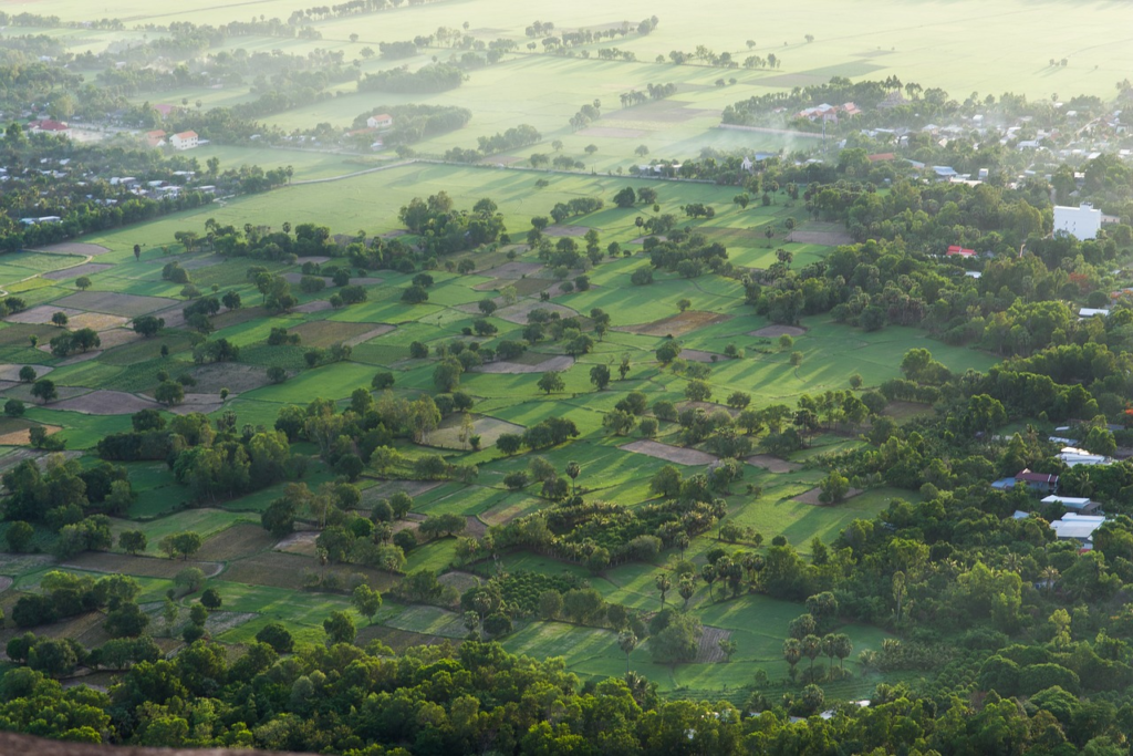 Ziro Valley