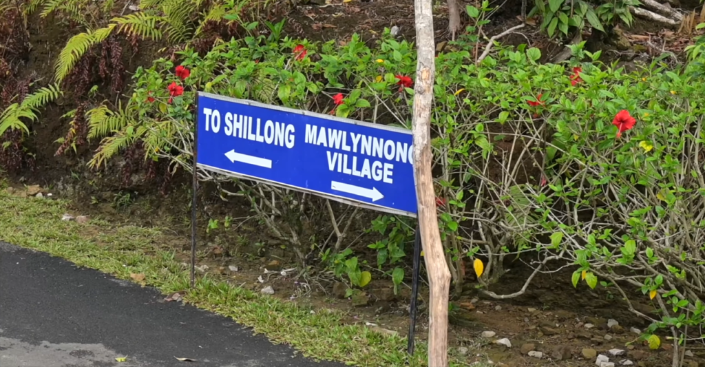 Shillong to Mawlynnong Village